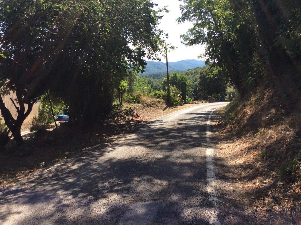 Can Masferrer Riudarenes Esterno foto