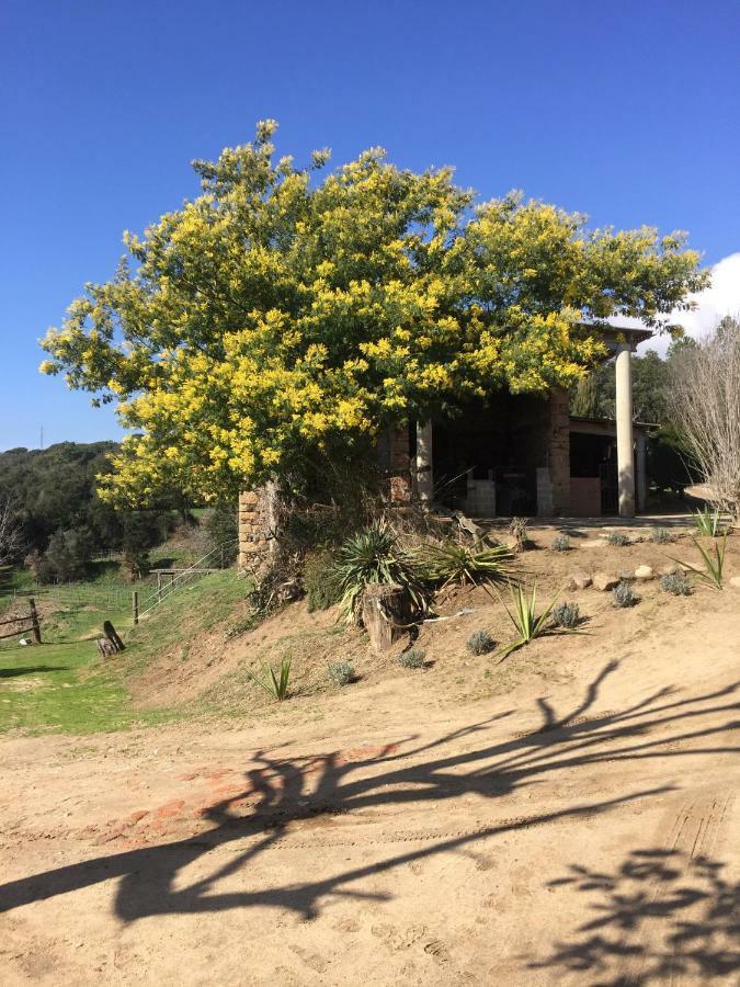 Can Masferrer Riudarenes Esterno foto